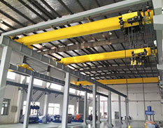 Overhead Lifting Monorail Bride Crane